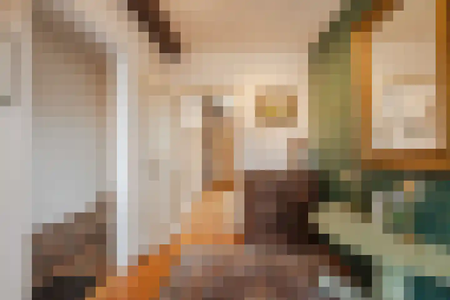 Dorpsstraat 27 Havelte thumbnail 22