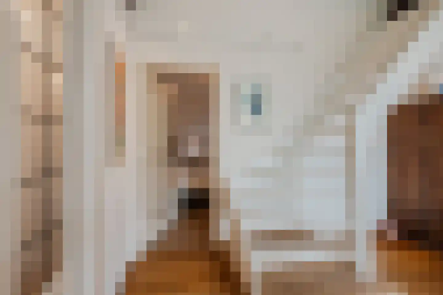 Dorpsstraat 27 Havelte thumbnail 29