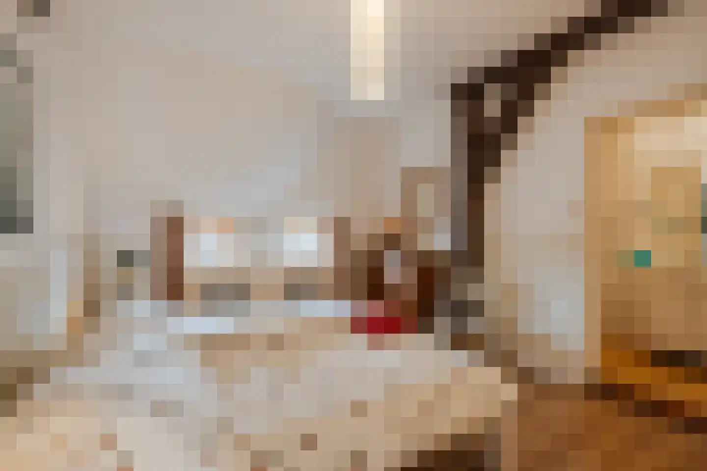 Dorpsstraat 27 Havelte thumbnail 31