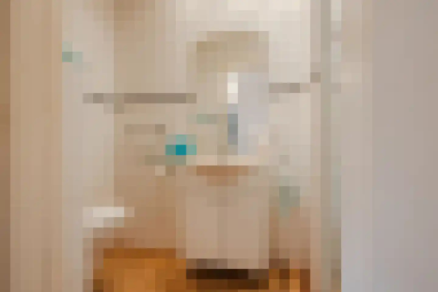Dorpsstraat 27 Havelte thumbnail 32