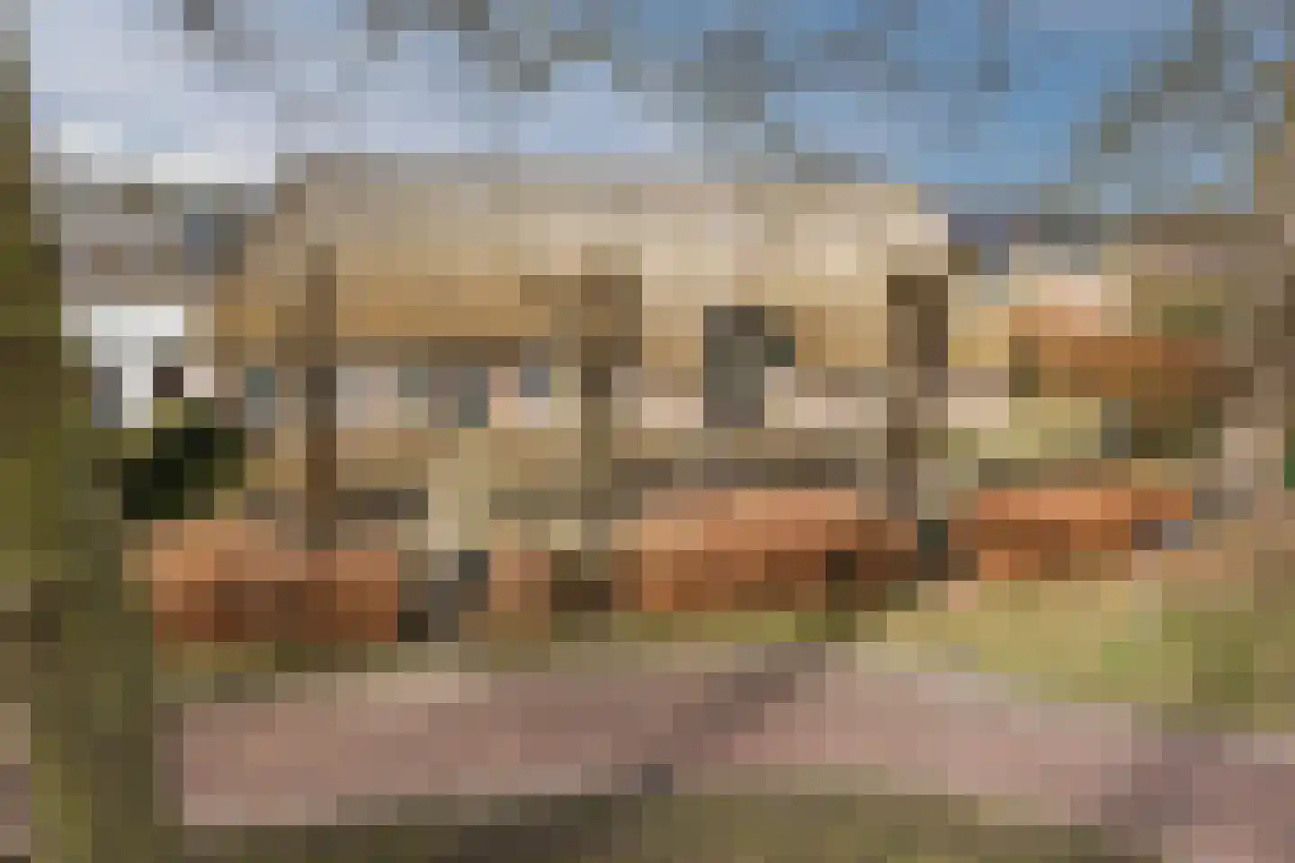 Dorpsstraat 27 Havelte thumbnail 4