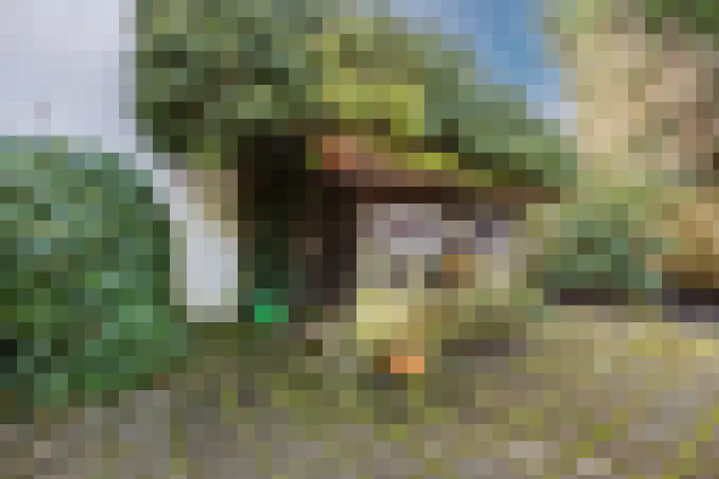 Dorpsstraat 27 Havelte thumbnail 74