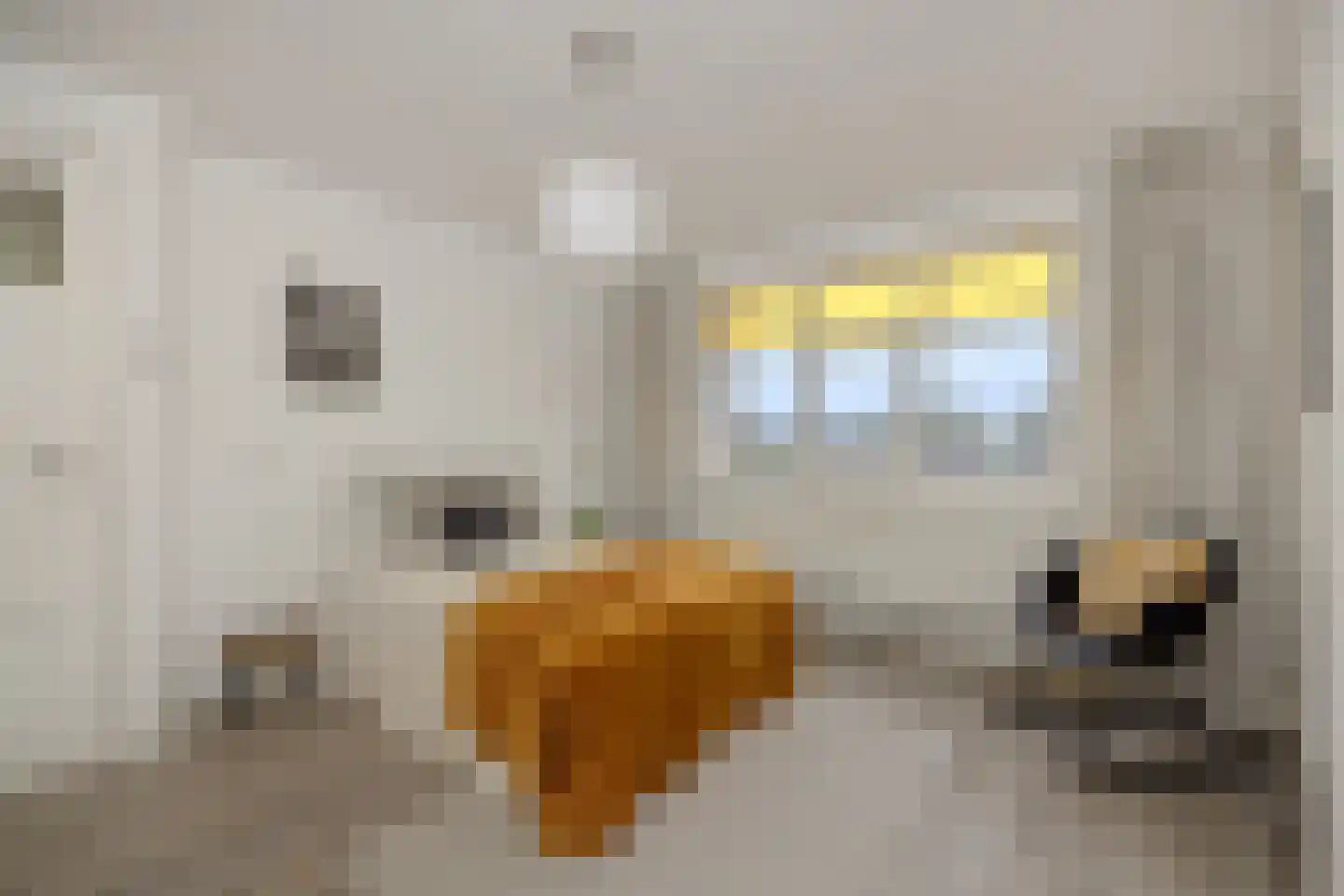 Dorpsstraat 29 Vught thumbnail 26