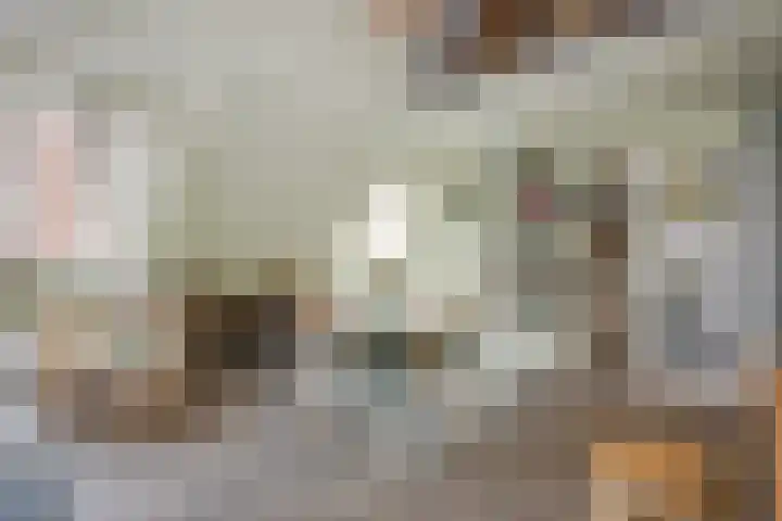 Dorpsstraat 30 Zoeterwoude thumbnail 11