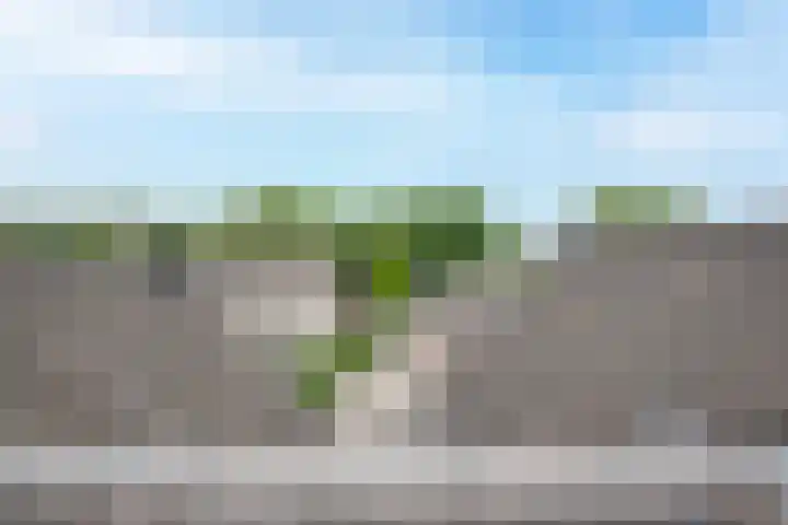Dorpsstraat 30 Zoeterwoude thumbnail 37