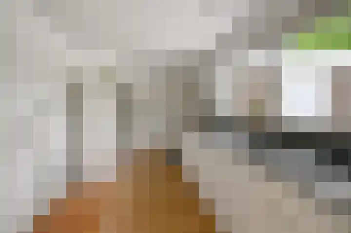 Dorpsstraat 31 Jisp thumbnail 14