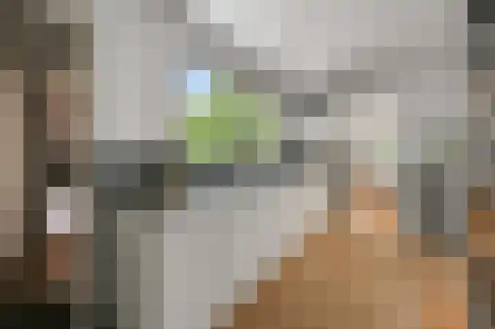 Dorpsstraat 31 Jisp thumbnail 16