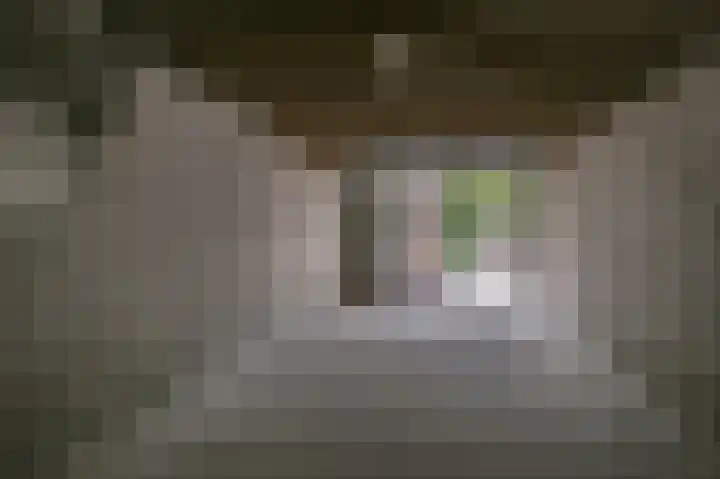 Dorpsstraat 31 Jisp thumbnail 18