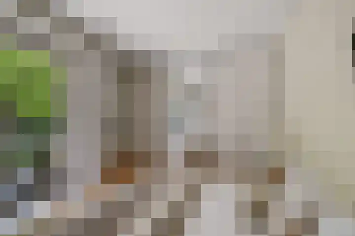 Dorpsstraat 31 Jisp thumbnail 21