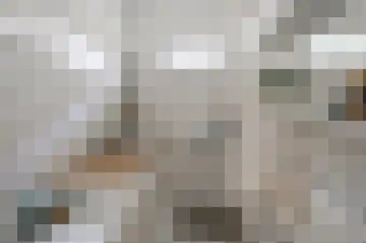 Dorpsstraat 31 Jisp thumbnail 26