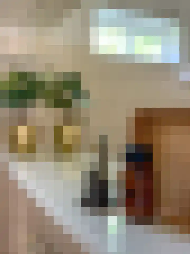 Dorpsstraat 31 Jisp thumbnail 28