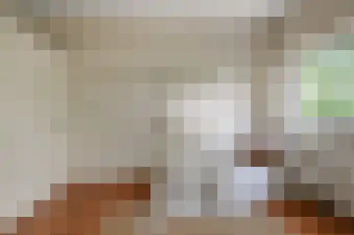 Dorpsstraat 31 Jisp thumbnail 30