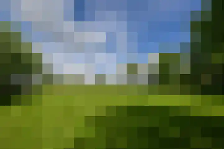 Dorpsstraat 31 Jisp thumbnail 36