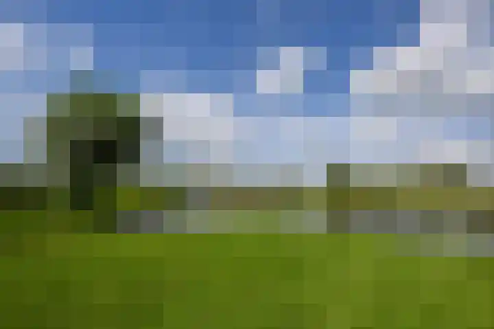 Dorpsstraat 31 Jisp thumbnail 39