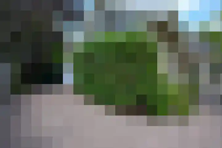 Dorpsstraat 31 Jisp thumbnail 4