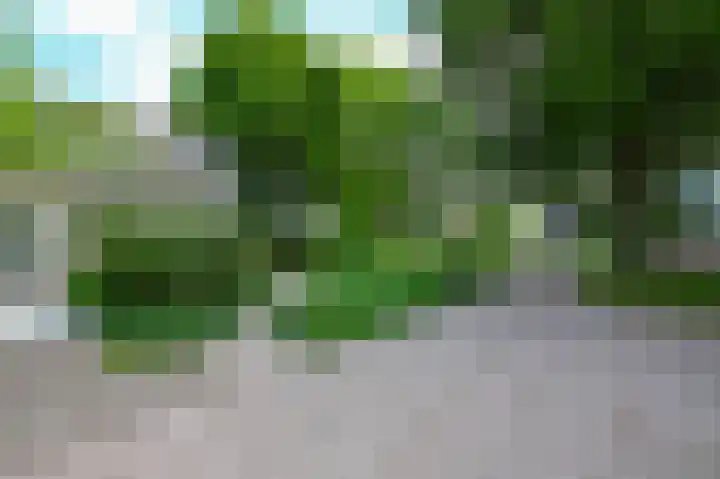 Dorpsstraat 31 Jisp thumbnail 5
