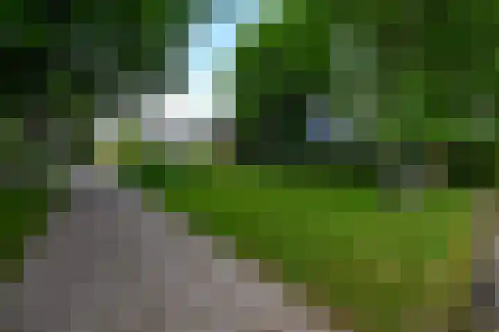 Dorpsstraat 31 Jisp thumbnail 6