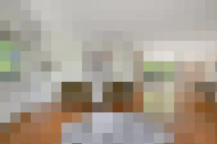 Dorpsstraat 31 Jisp thumbnail 9