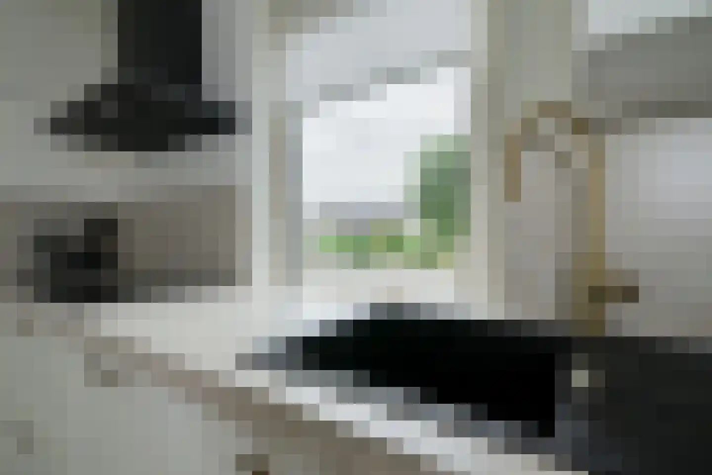 Dorpsstraat 35 Halle thumbnail 17