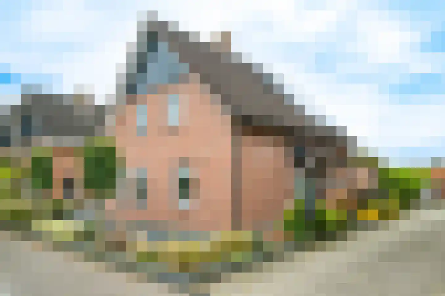 Dorpsstraat 35 Halle thumbnail 7