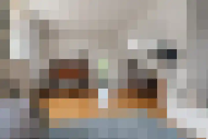 Dorpsstraat 35 Rheden thumbnail 14