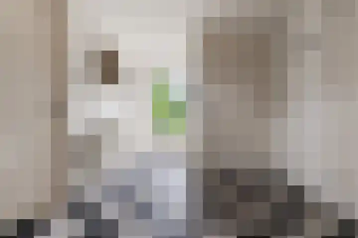 Dorpsstraat 35 Rheden thumbnail 5