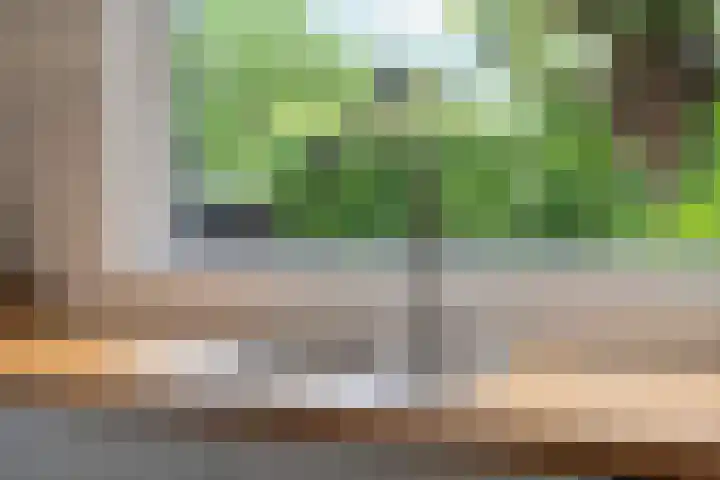 Dorpsstraat 35 Rheden thumbnail 8