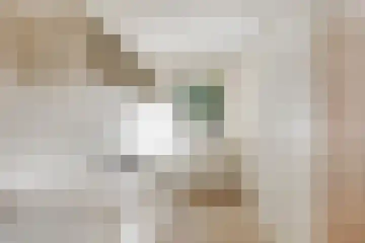 Dorpsstraat 36 Harskamp thumbnail 18