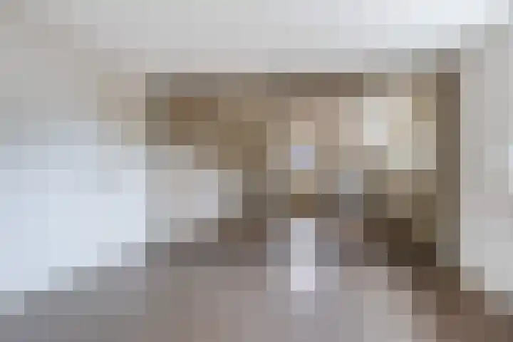 Dorpsstraat 36 Harskamp thumbnail 22