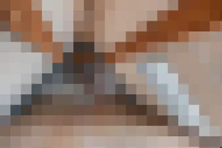 Dorpsstraat 36 Harskamp thumbnail 37