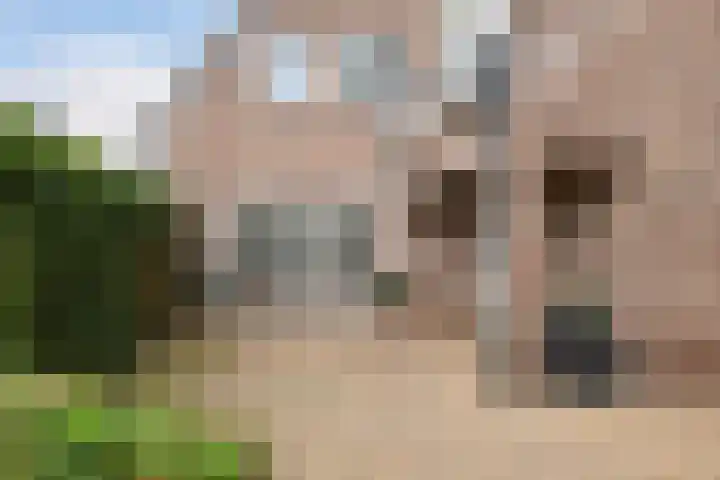 Dorpsstraat 36 Harskamp thumbnail 38