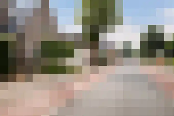 Dorpsstraat 36 Harskamp thumbnail 50