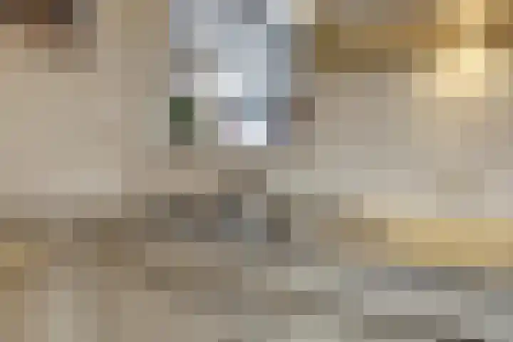Dorpsstraat 4 Neerkant thumbnail 17