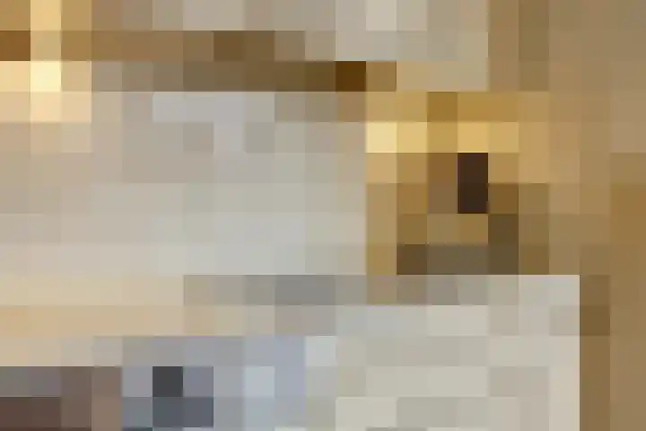 Dorpsstraat 4 Neerkant thumbnail 19