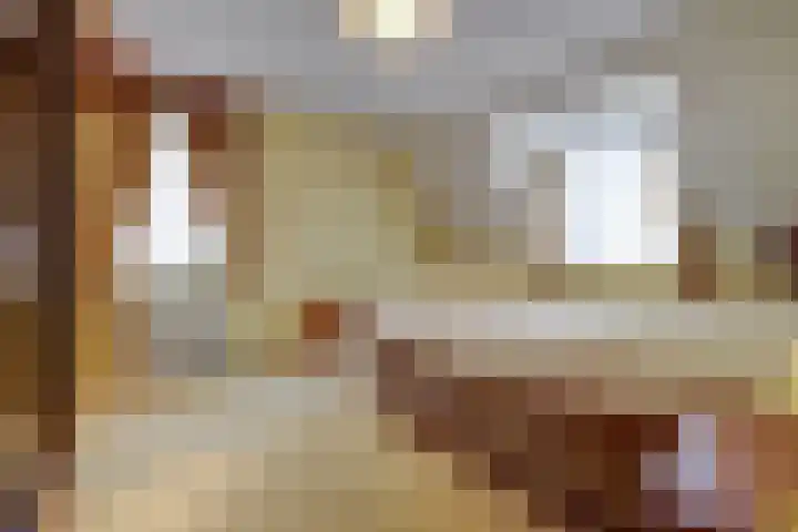 Dorpsstraat 4 Neerkant thumbnail 38