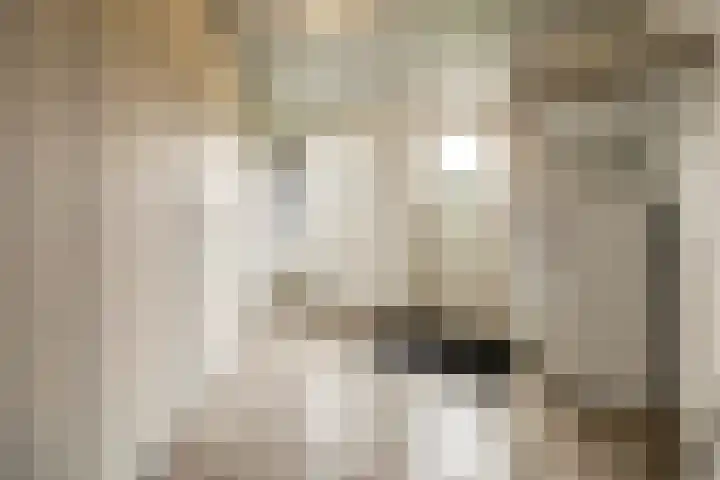 Dorpsstraat 4 Neerkant thumbnail 55