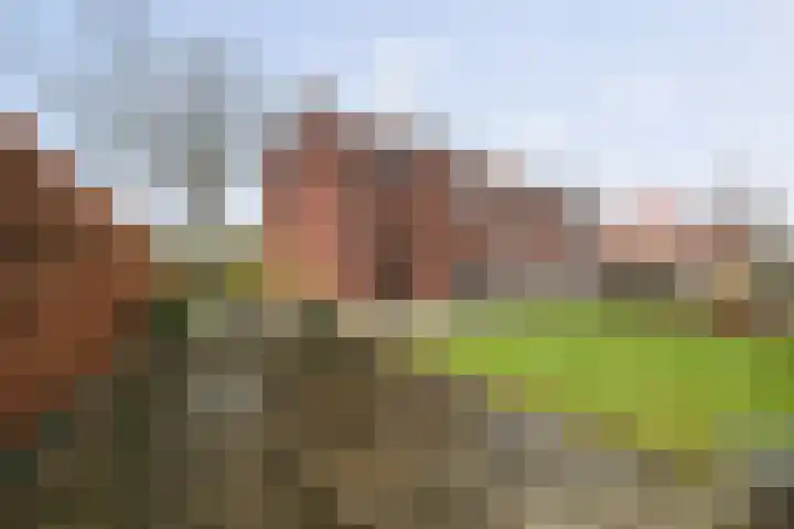 Dorpsstraat 4 Wilp thumbnail 21