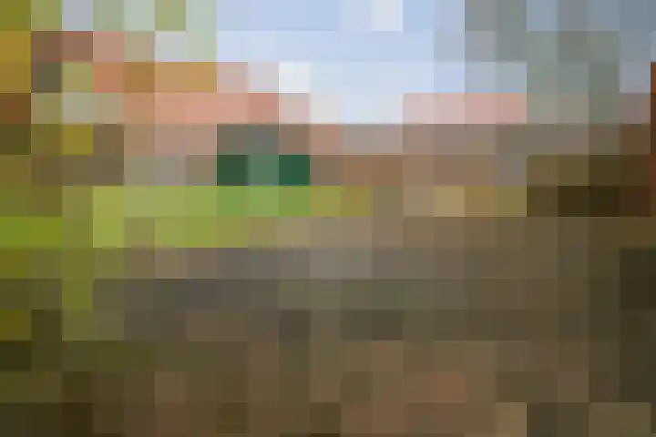 Dorpsstraat 4 Wilp thumbnail 24