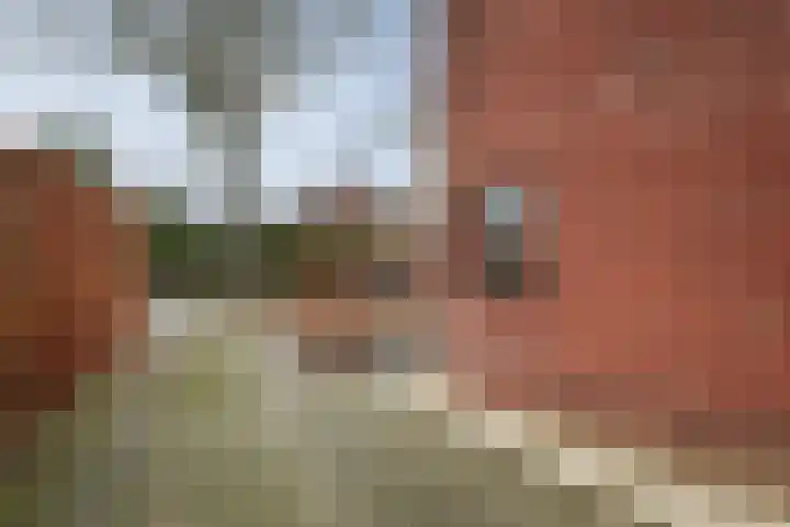 Dorpsstraat 4 Wilp thumbnail 26