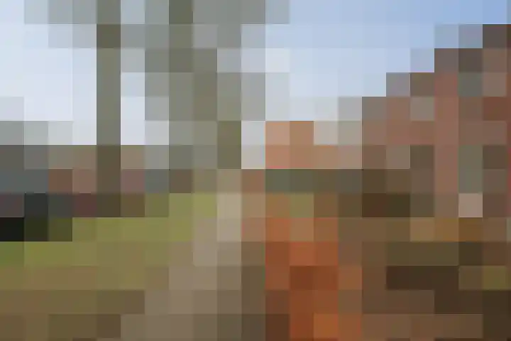 Dorpsstraat 4 Wilp thumbnail 28