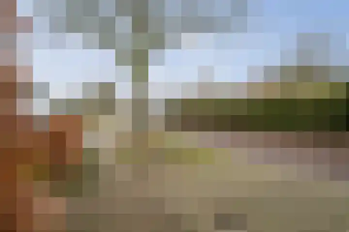 Dorpsstraat 4 Wilp thumbnail 29