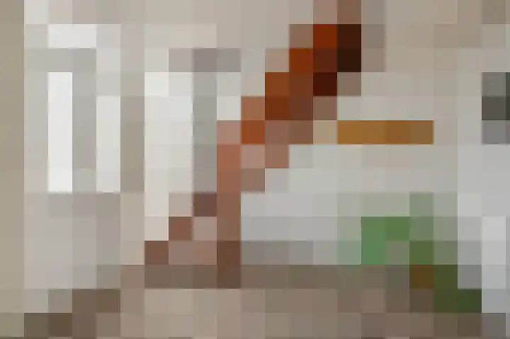 Dorpsstraat 40 Niftrik thumbnail 23