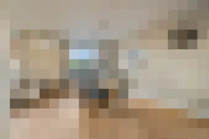 Dorpsstraat 40 Niftrik thumbnail 4