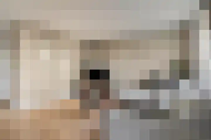 Dorpsstraat 40 Niftrik thumbnail 6