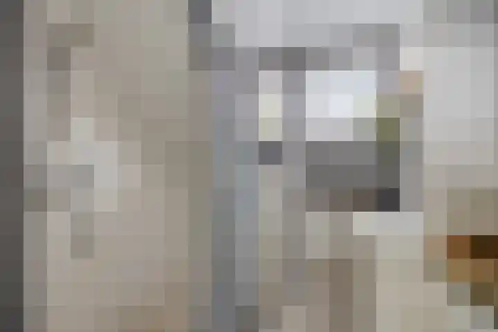 Dorpsstraat 41 Gapinge thumbnail 17