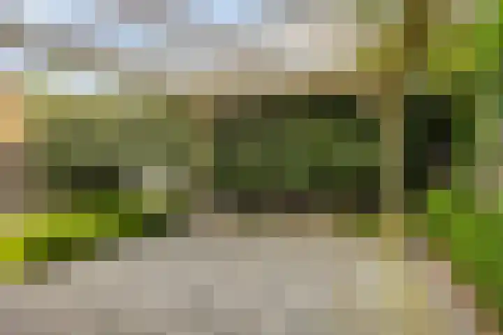 Dorpsstraat 41 Gapinge thumbnail 21
