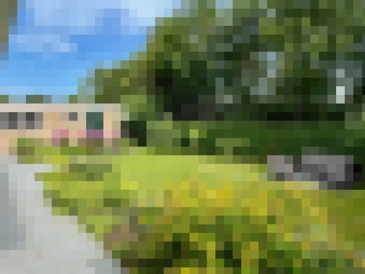 Dorpsstraat 43 Retranchement thumbnail 16