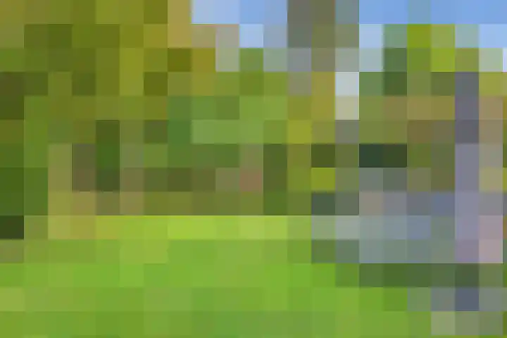 Dorpsstraat 5 Assendelft thumbnail 12