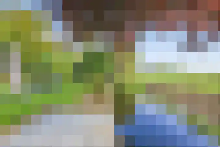 Dorpsstraat 5 Assendelft thumbnail 13