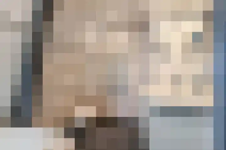Dorpsstraat 5 Assendelft thumbnail 23